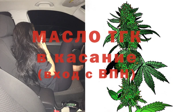 тгк Новодвинск