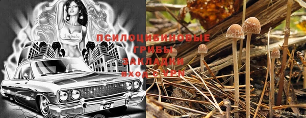 скорость Няндома