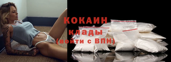 стафф Новозыбков