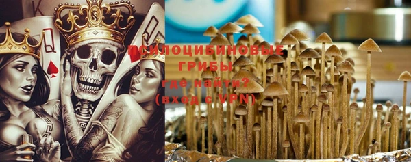 тгк Новодвинск