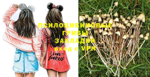 гидра Нягань