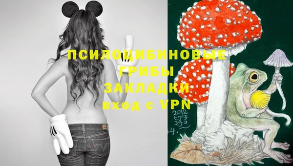 марки lsd Новокубанск