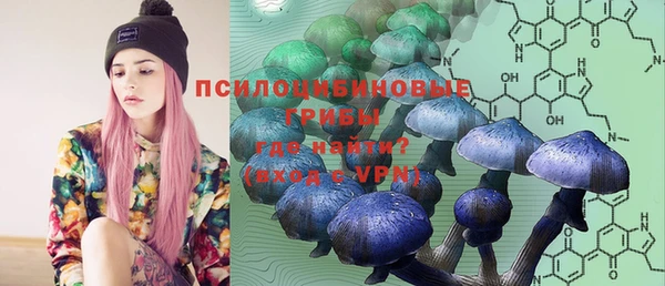 стафф Новозыбков