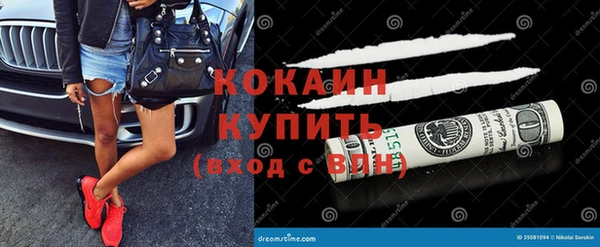 тгк Новодвинск
