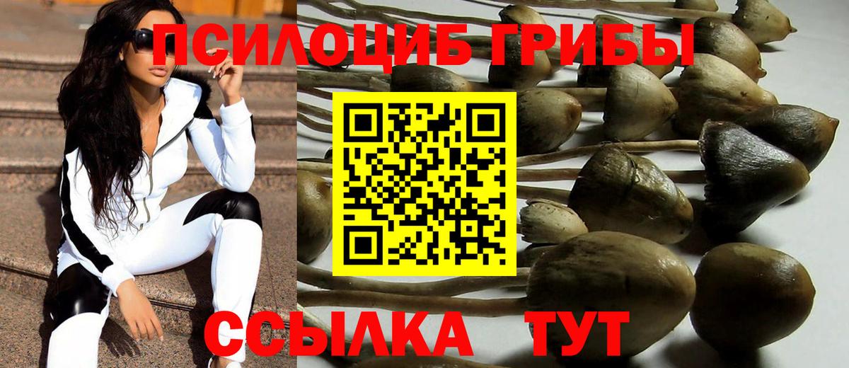 Псилоцибиновые грибы MAGIC MUSHROOMS Анапа